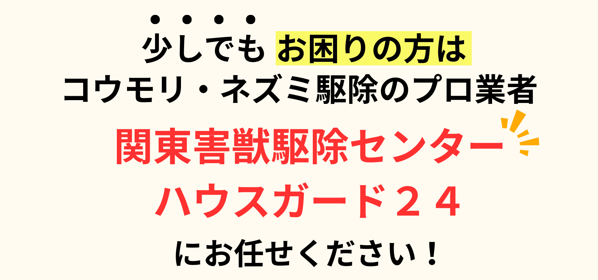 少しでもお困りの方はコウモリ・ネズミ駆除のプロ業者関東害獣駆除センターハウスガード24にお任せください！