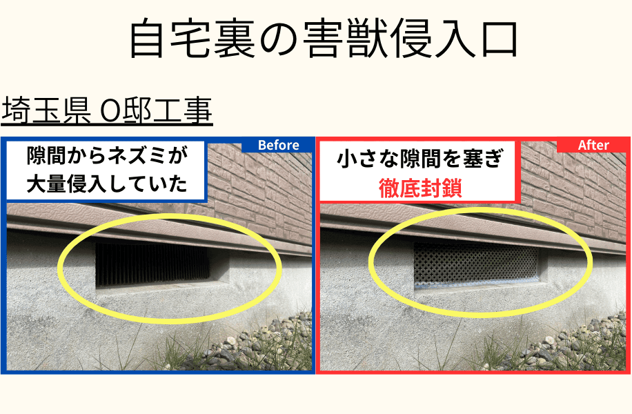 自宅裏の害獣侵入口　埼玉県O邸工事