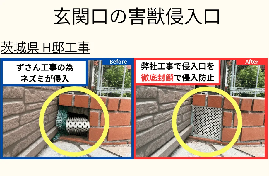 自宅裏の害獣侵入口　茨城県H邸工事
